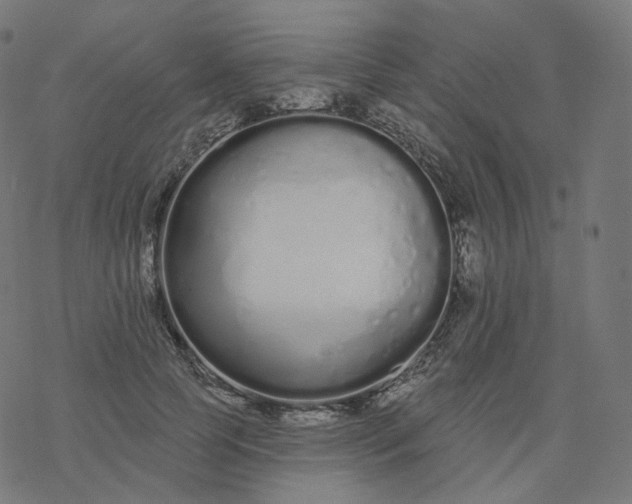 X0000077400745200611032026