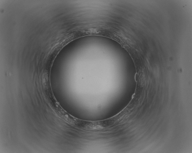 X0000077400747200611032026