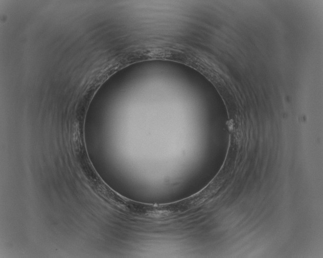 X0000077400748200611032026