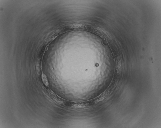 X0000077400749200611032026