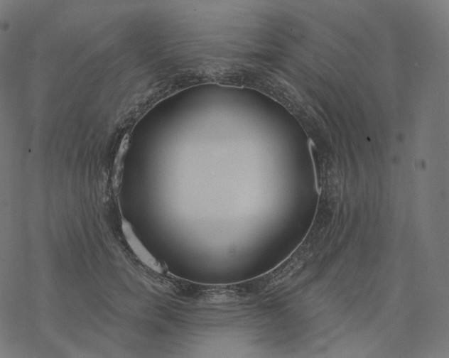 X0000077400750200611032026