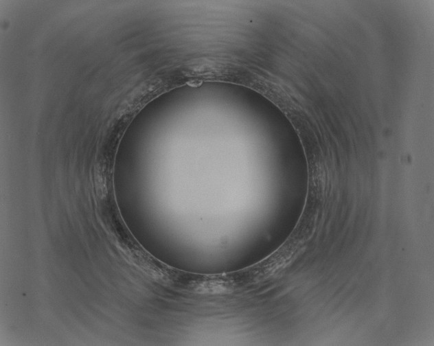 X0000077400751200611032026