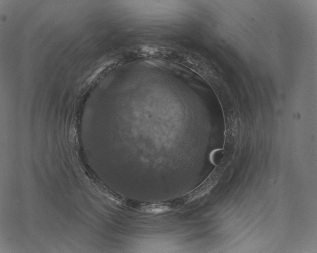 X0000077400754200611032026