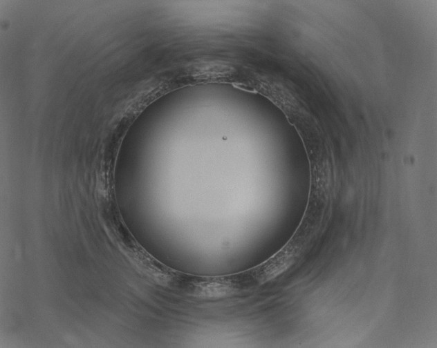 X0000077400755200611032026