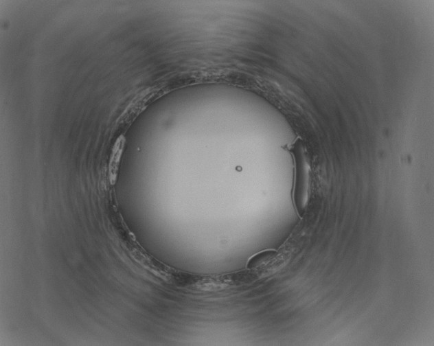 X0000077400756200611032026