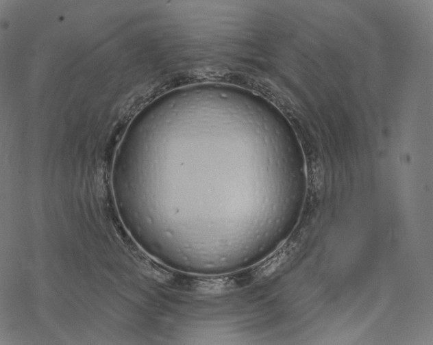 X0000077400757200611032026