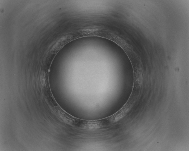 X0000077400758200611032026