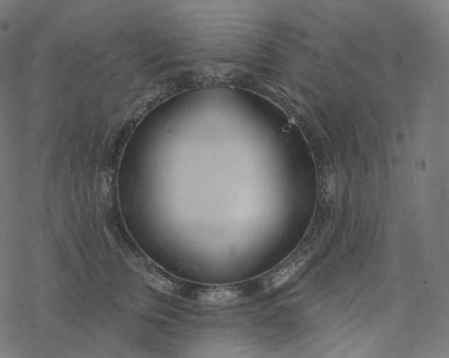 X0000077400759200611032026