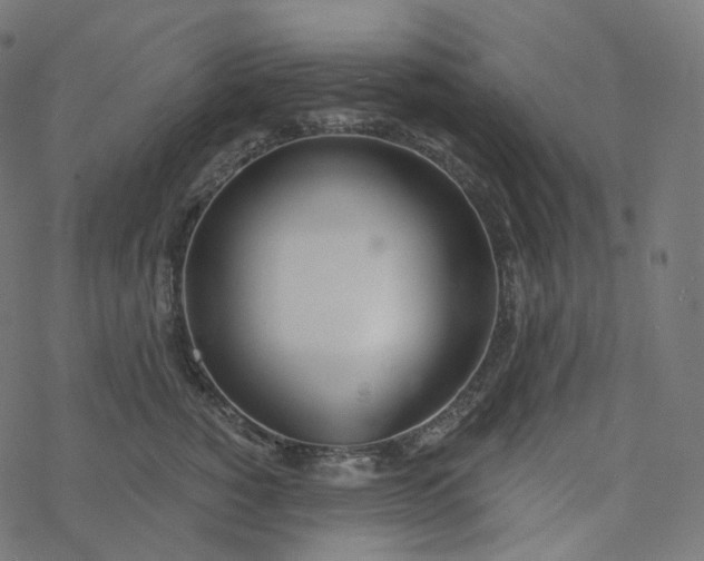 X0000077400760200611032026