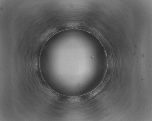 X0000077400762200611032026