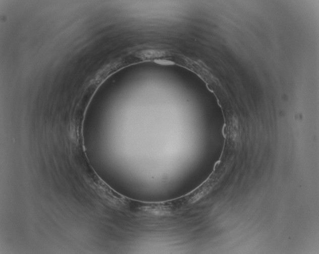 X0000077400763200611032026