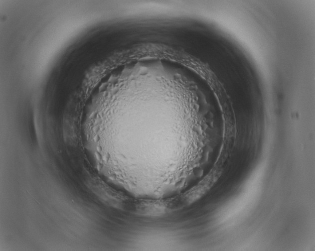 X0000077400765200611032026