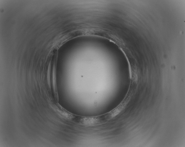 X0000077400766200611032026