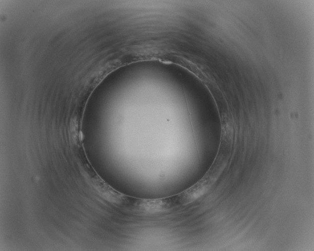 X0000077400767200611032026