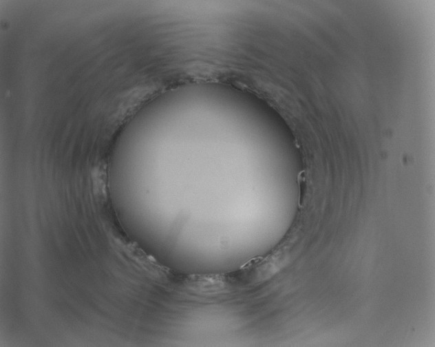 X0000077400768200611032026