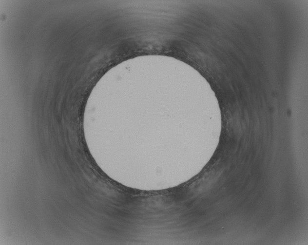 X0000077400769200611032026