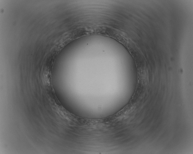 X0000077400770200611032026