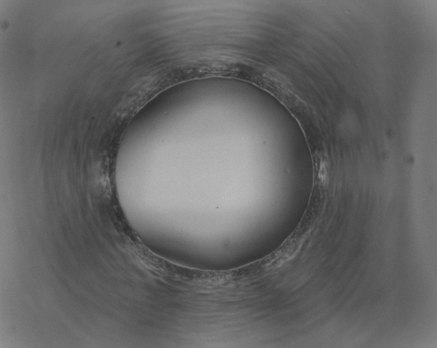 X0000077400771200611032025