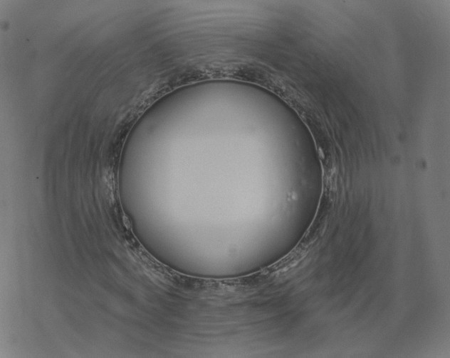 X0000077400772200611032025