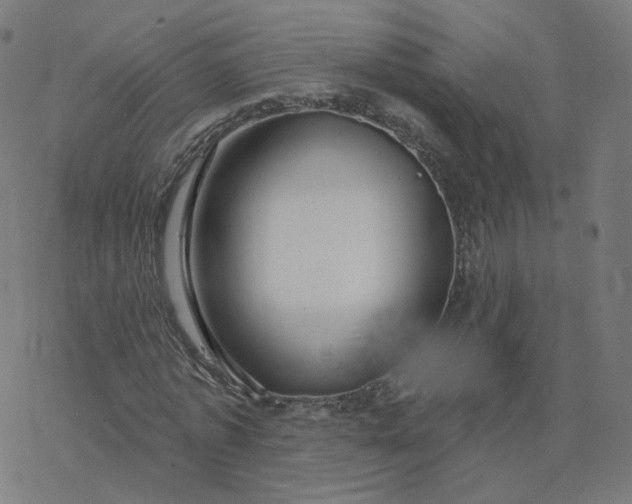 X0000077400773200611032025