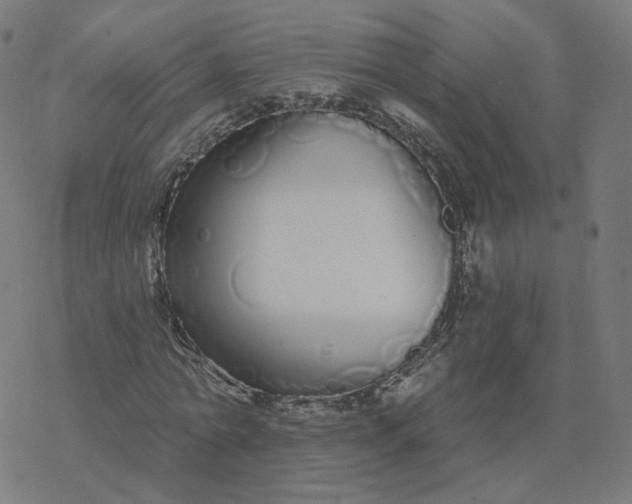 X0000077400774200611032025