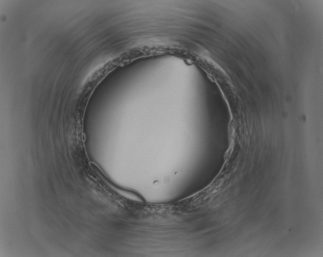 X0000077400775200611032025