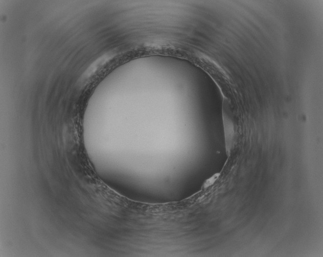 X0000077400776200611032025