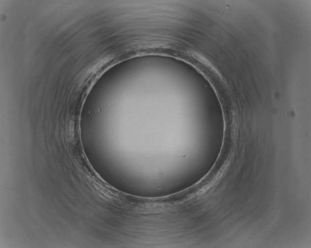 X0000077400777200611032025