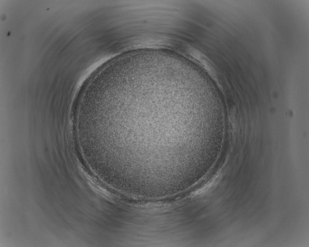 X0000077400779200611032025