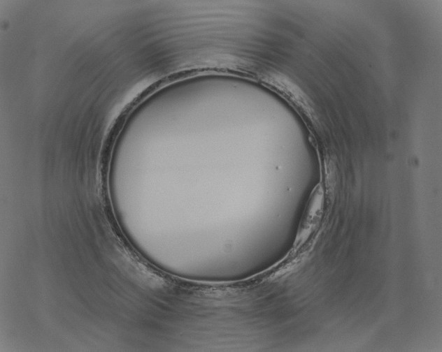 X0000077400780200611032025