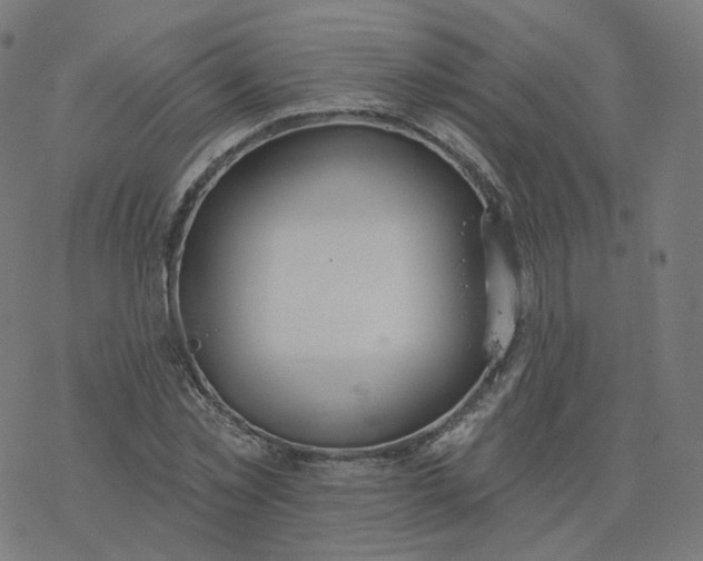 X0000077400781200611032025