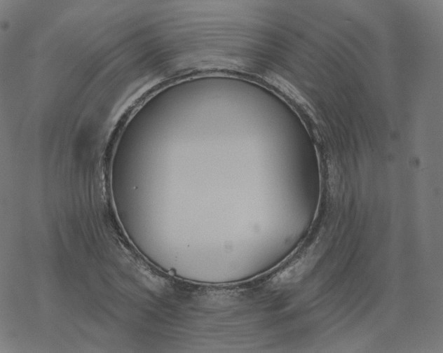 X0000077400782200611032025