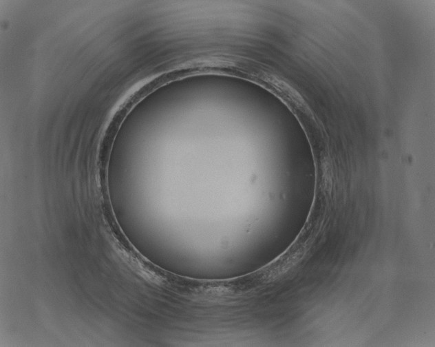 X0000077400784200611032025