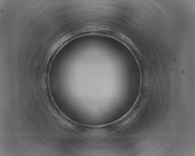 X0000077400786200611032025