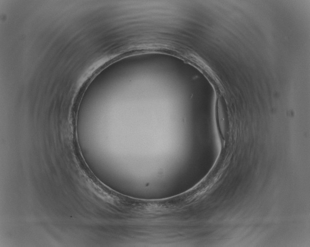 X0000077400787200611032025