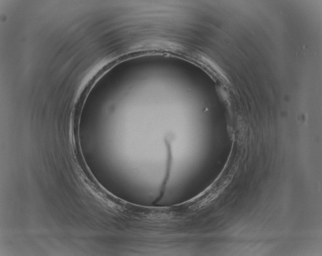 X0000077400788200611032025