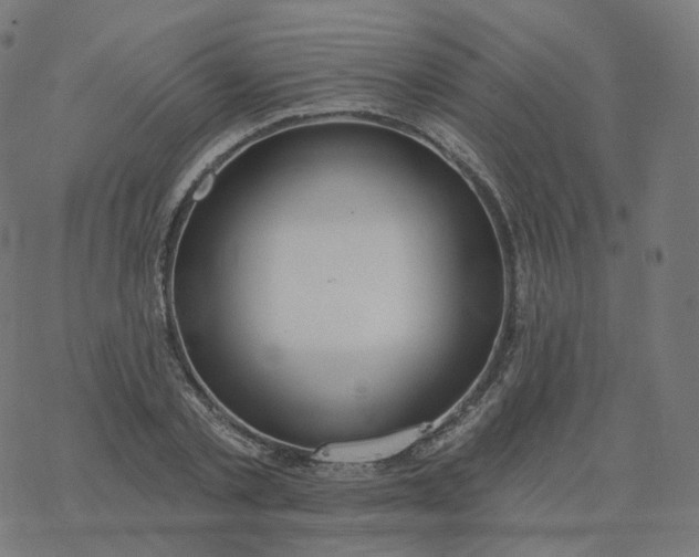 X0000077400789200611032025