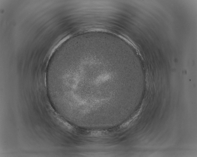 X0000077400790200611032025