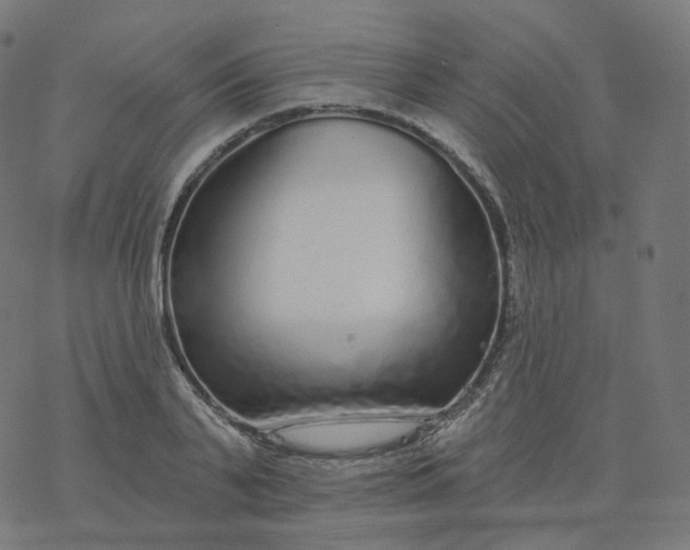 X0000077400791200611032025