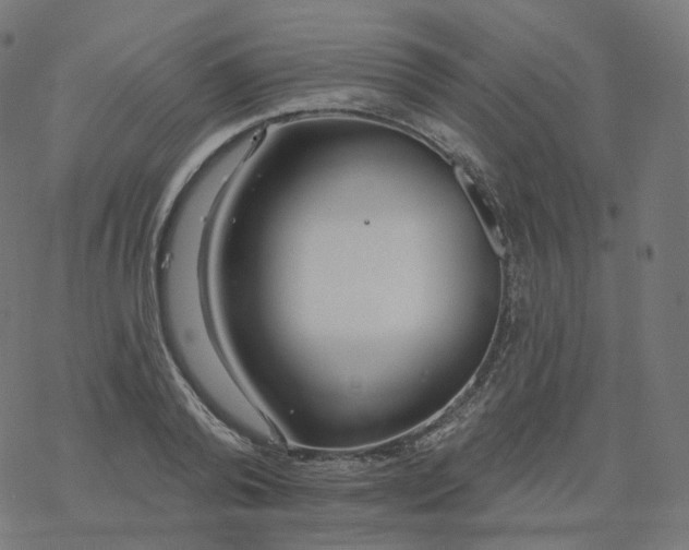 X0000077400792200611032025