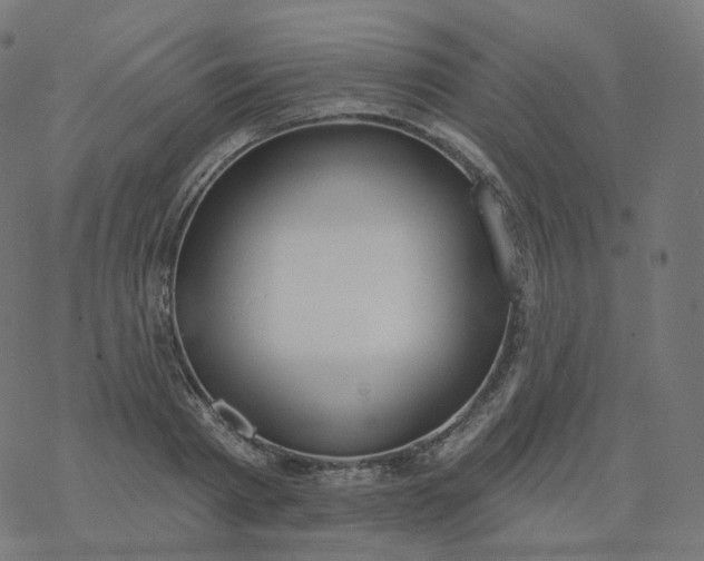 X0000077400793200611032025