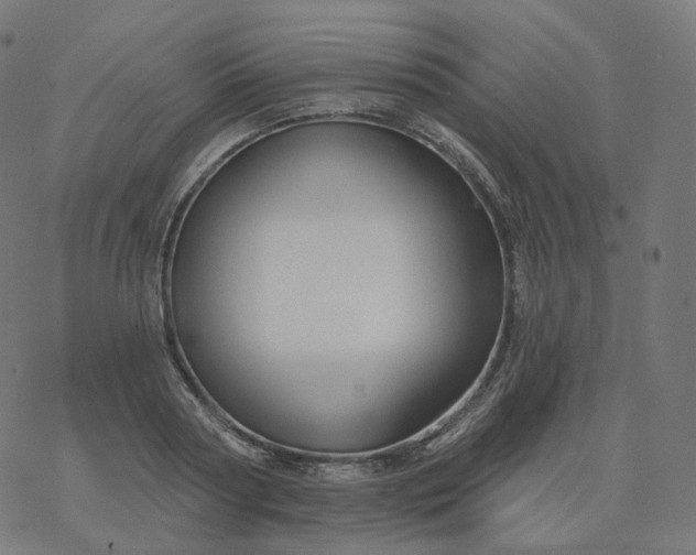 X0000077400794200611032025