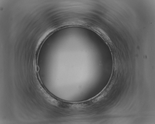 X0000077400796200611032025