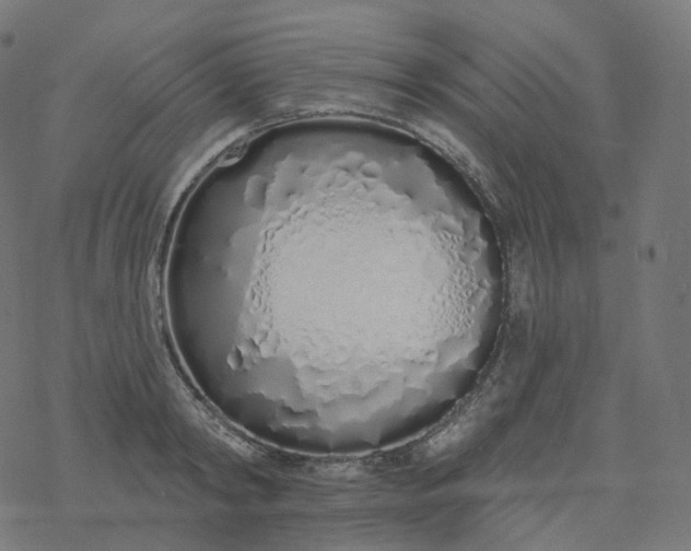 X0000077400798200611032025