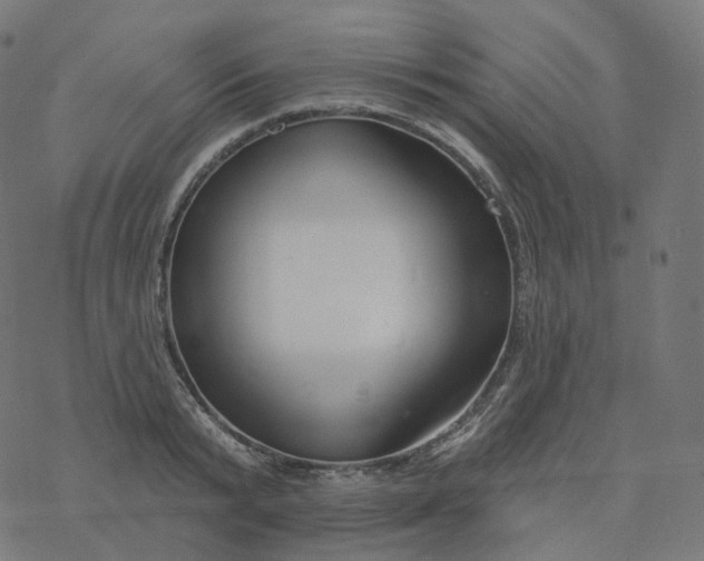 X0000077400799200611032025