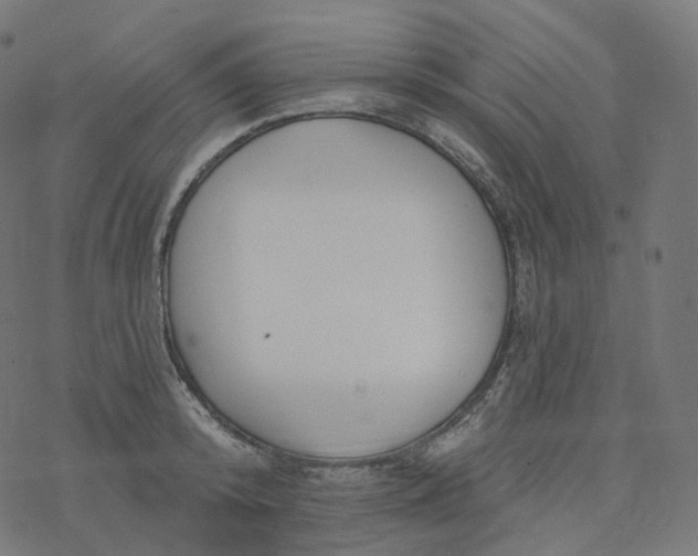 X0000077400800200611032025