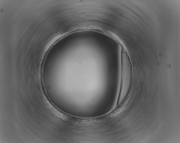 X0000077400803200611032025