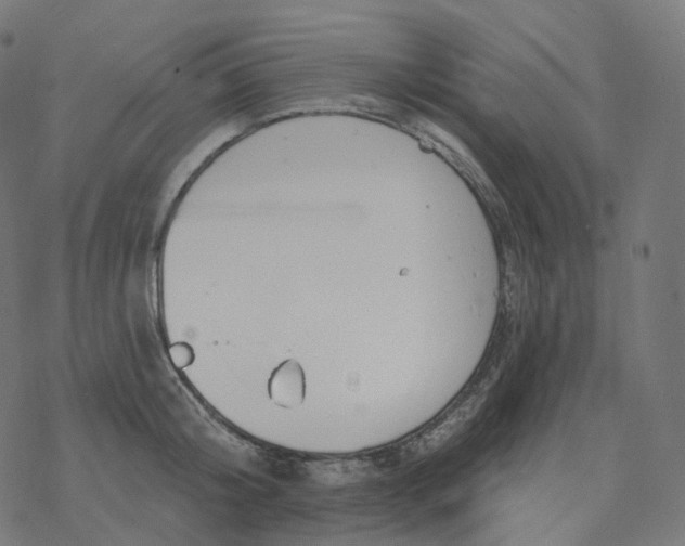 X0000077400804200611032025