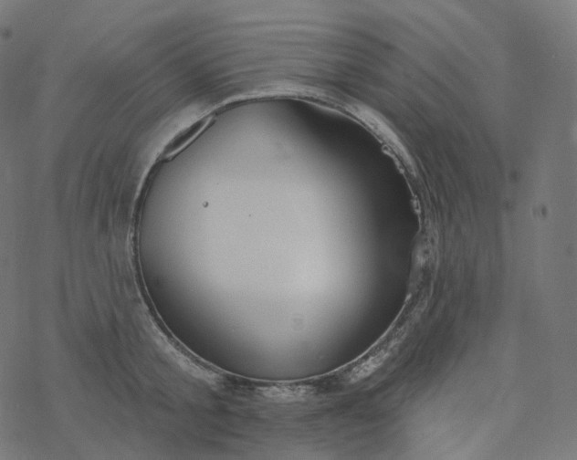 X0000077400805200611032025