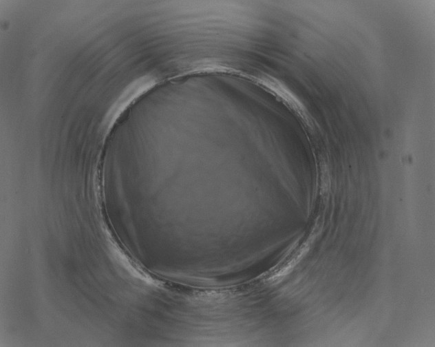 X0000077400806200611032025